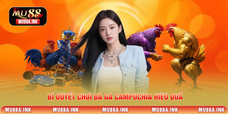 Bí quyết chơi đá gà Campuchia hiệu quả