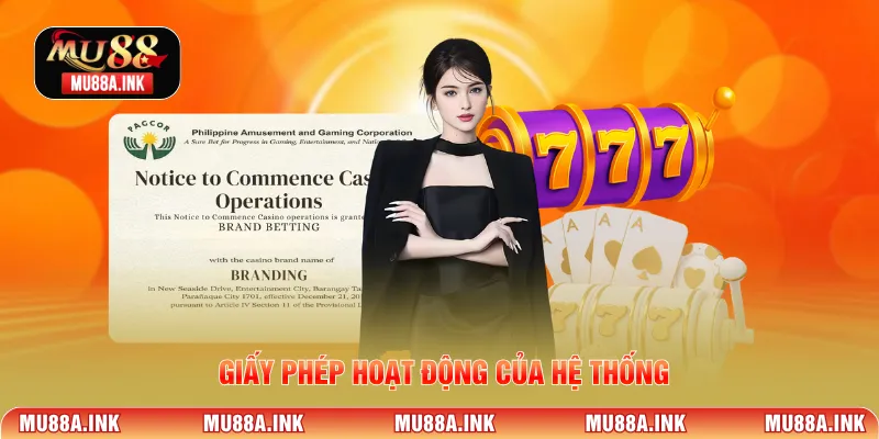 Giấy phép hoạt động của hệ thống