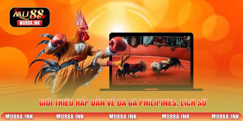 Giới thiệu hấp dẫn về đá gà Philipines, lịch sử