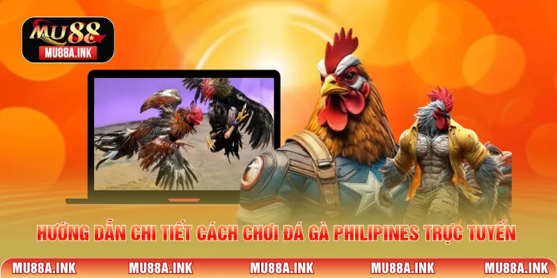 Hướng dẫn chi tiết cách chơi đá gà Philipines trực tuyến