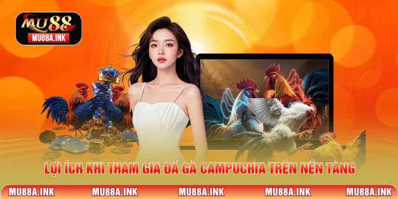 Lợi ích khi tham gia đá gà campuchia trên nền tảng