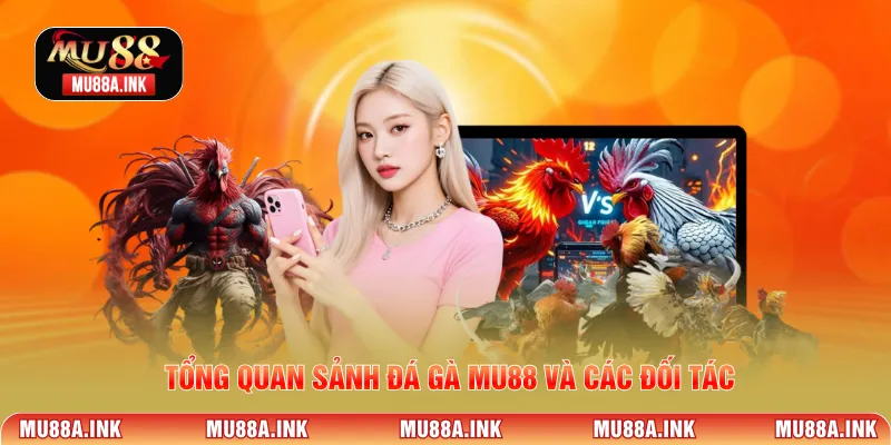 Tổng quan sảnh Đá Gà MU88 và các đối tác